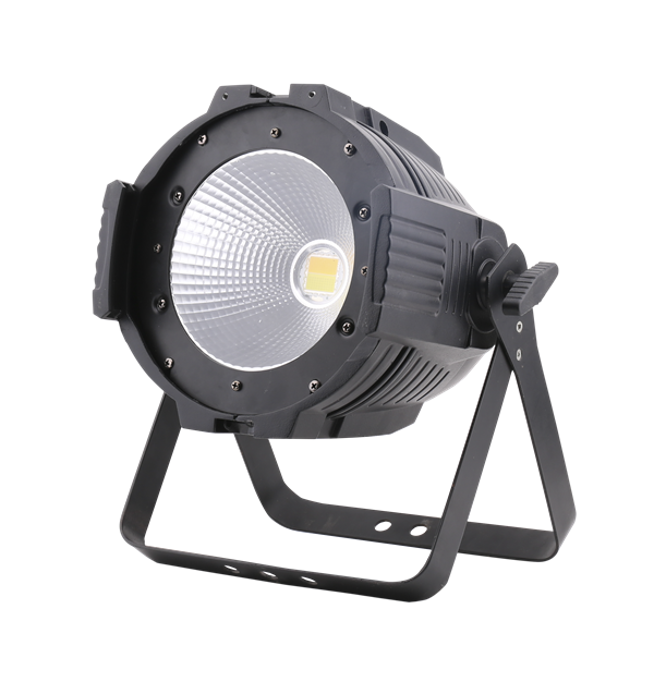 100W COB Par Light 